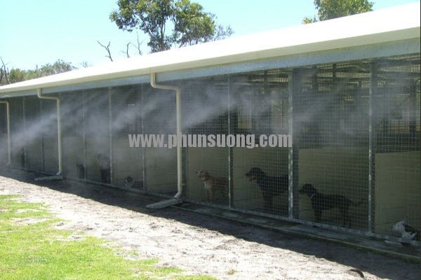 Hệ thống phun sương được lắp đặt trong các trang trại chăn nuôi sản xuất