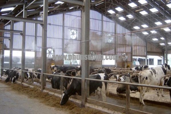 Hê thống phun sương Hawin được sử dụng trong chăn nuôi ở Hưng Yên