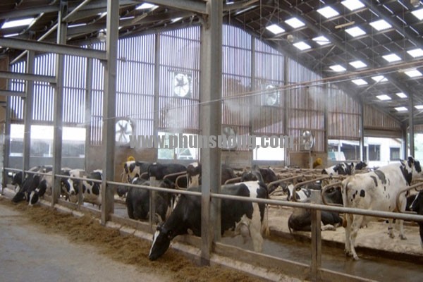 Phun sương Hawin được sử dụng cho chăn nuôi tại Quận Tân Bình – Sài Gòn