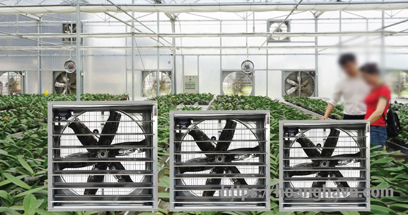 quạt hút công nghiệp 600x600